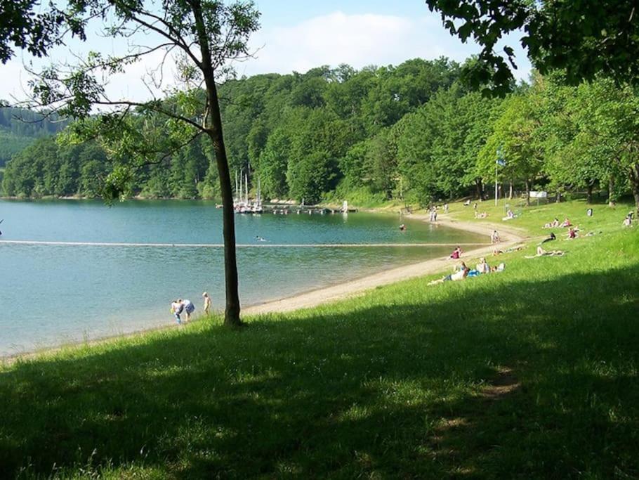 Ferienhaus Lena Im Sauerland Direkt Am Hennesee Мешеде Екстериор снимка