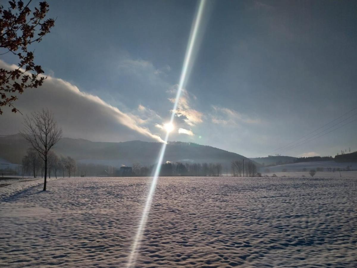 Ferienhaus Lena Im Sauerland Direkt Am Hennesee Мешеде Екстериор снимка