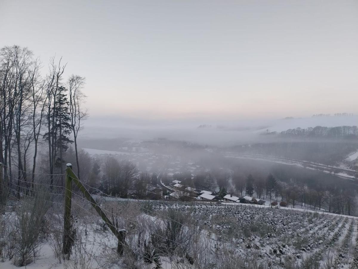 Ferienhaus Lena Im Sauerland Direkt Am Hennesee Мешеде Екстериор снимка